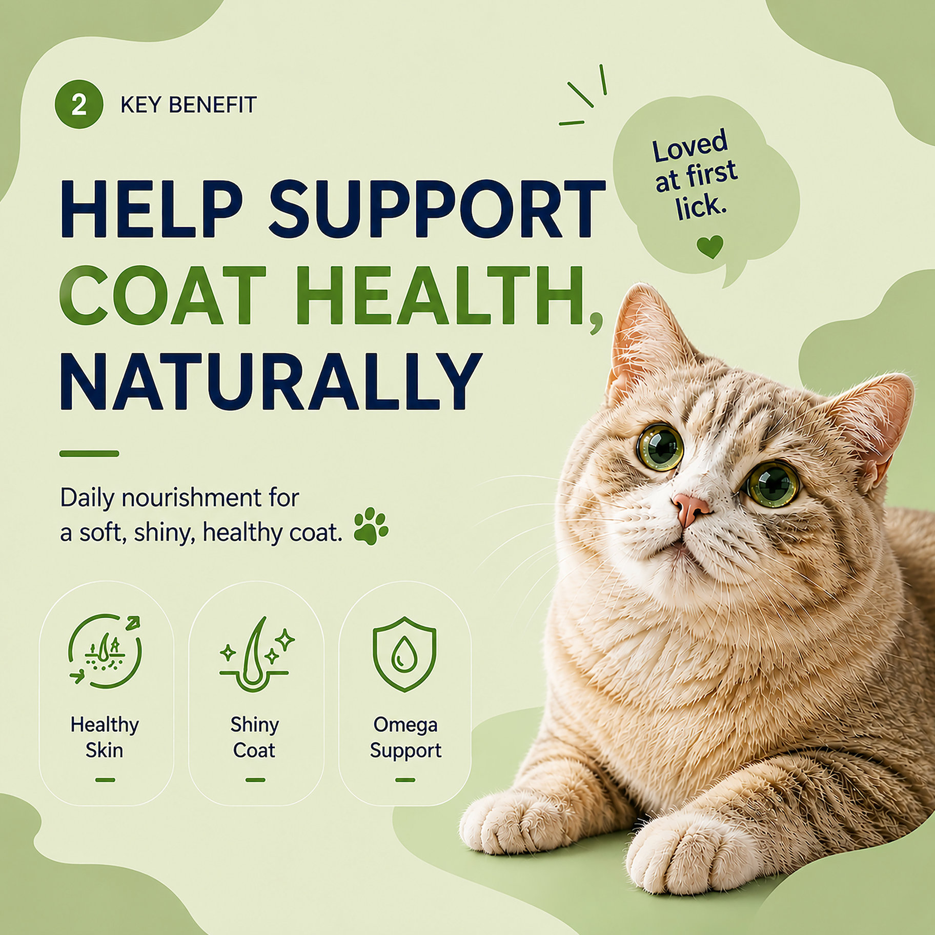 PAWLI Coat Health Lickable Cat Treats – 0.5 oz, 7 Tubes