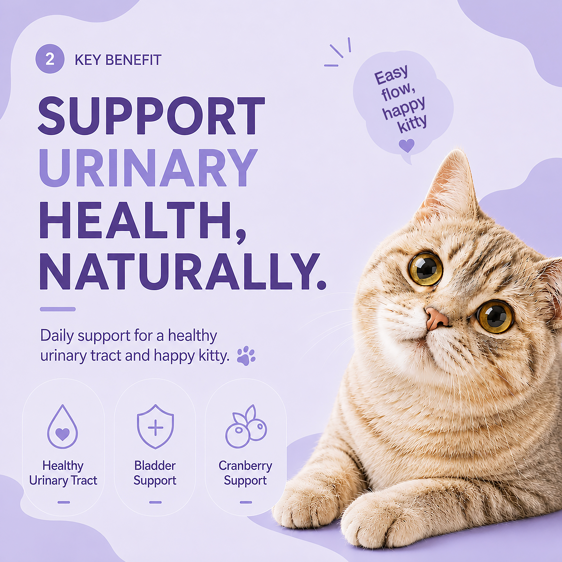PAWLI Urinary Health Lickable Cat Treats – 0.5 oz, 7 Tubes