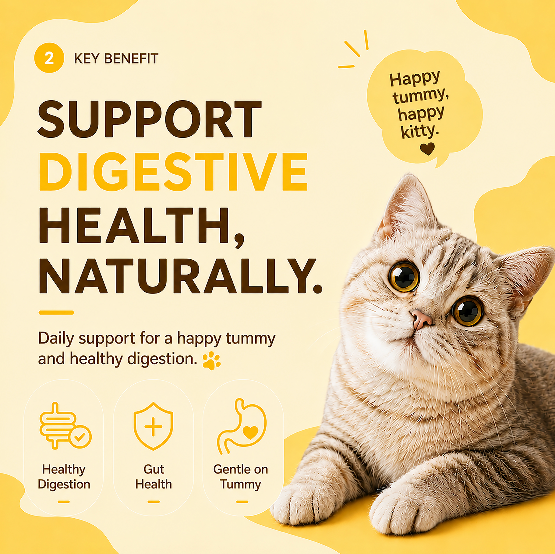 PAWLI Digestive Health Lickable Cat Treats  – 0.5 oz, 7 Tubes
